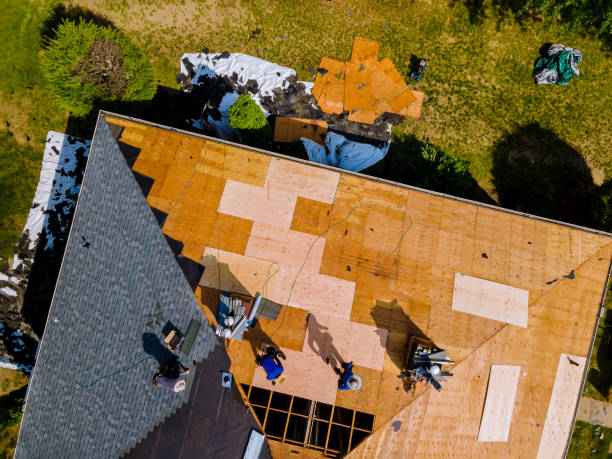 Best Metal Roofing Contractor  in Clinton, PA